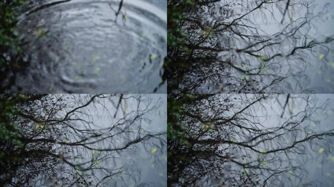 阴雨天的西湖浴鹄湾水面倒影