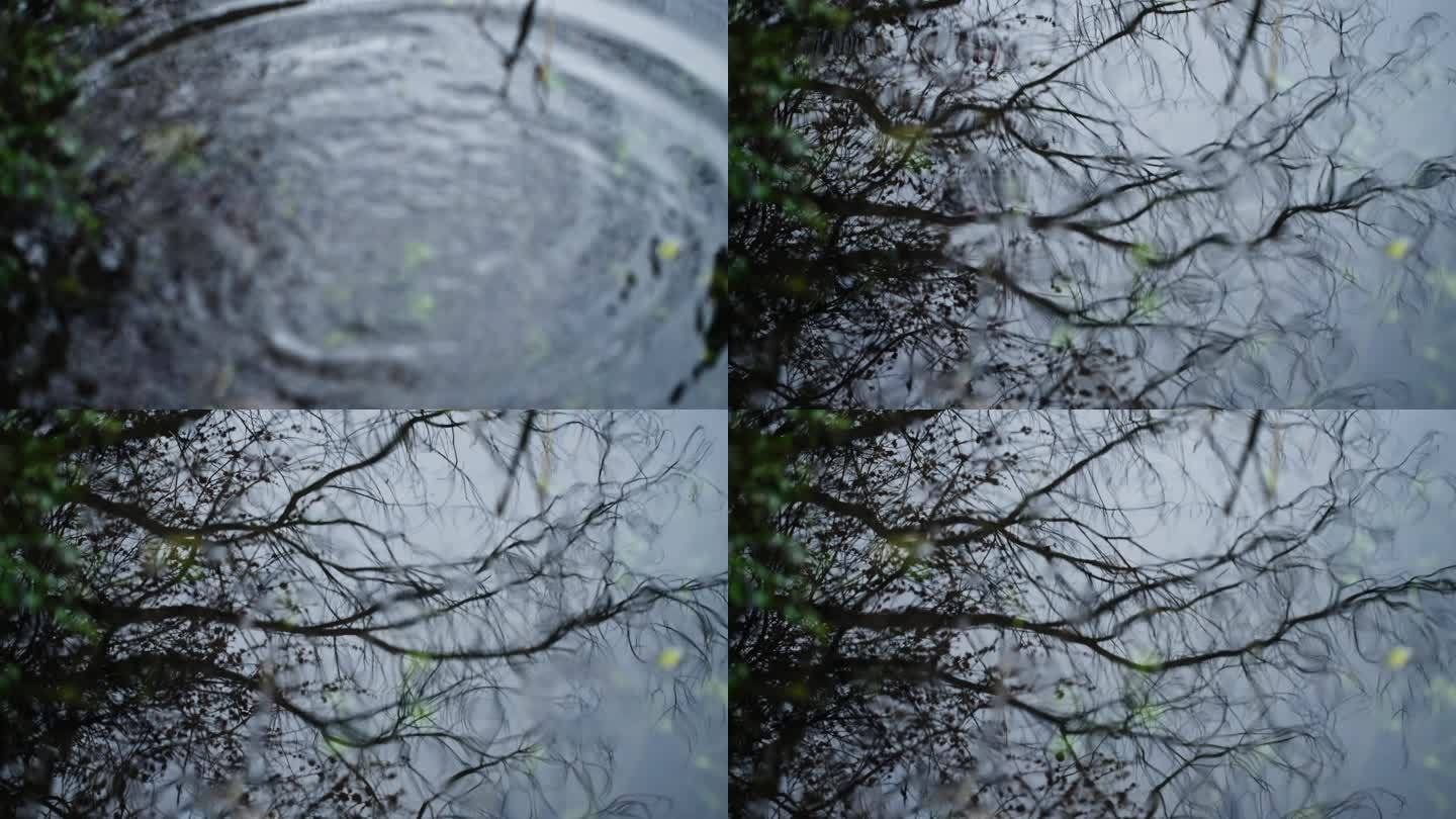 阴雨天的西湖浴鹄湾水面倒影