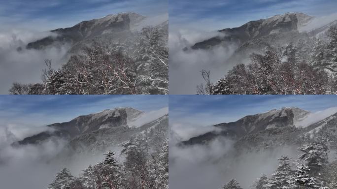 朱雀国家森林公园冰晶顶雪景航拍