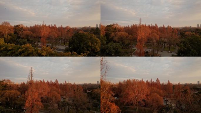 南京的秋天