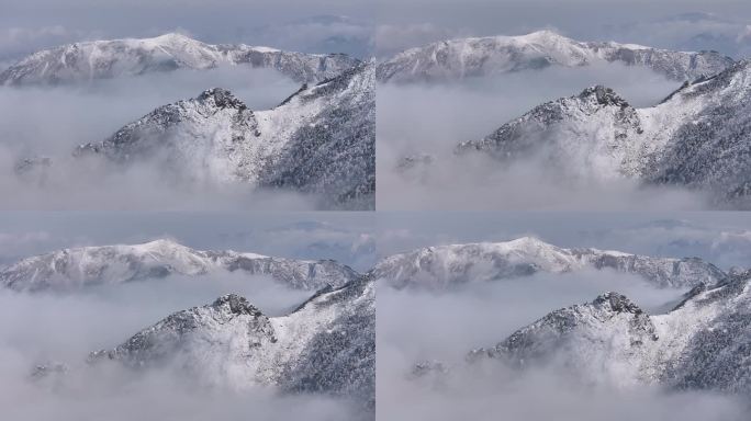 朱雀国家森林公园冰晶顶雪景航拍