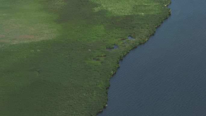 荒漠绿洲湖泊湿地生态系统一半湖水一半湿地