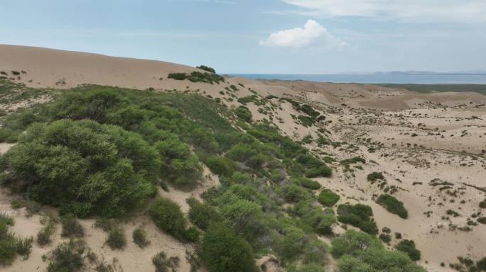 沙漠化治理生态复绿沙漠旅游公路青海湖