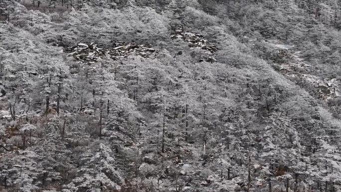 秦岭朱雀国家森林公园冰晶顶雪景航拍