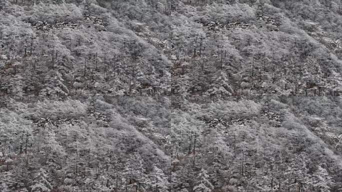 秦岭朱雀国家森林公园冰晶顶雪景航拍