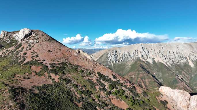 川藏线业拉山垭口和邦达草原