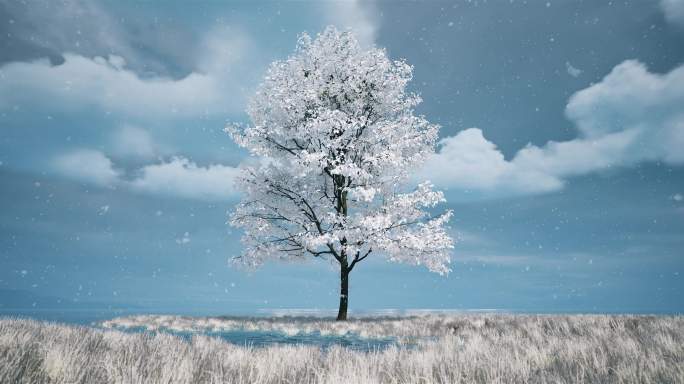 冬天下雪草地水边一颗孤寂的大树唯美意境2