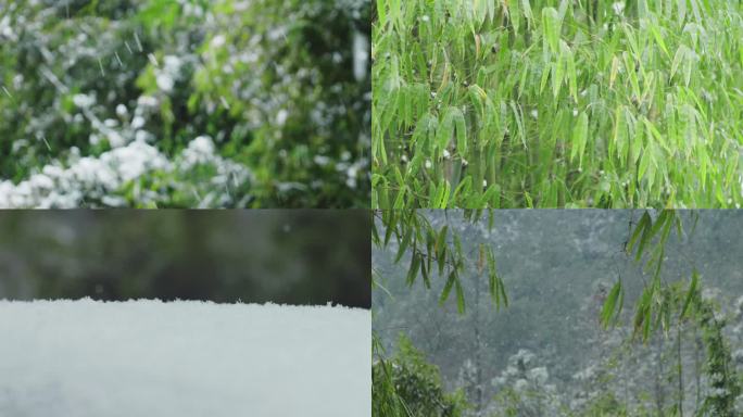 唯美雪景下雪雪花飞舞雪压树枝乡村雪景素材