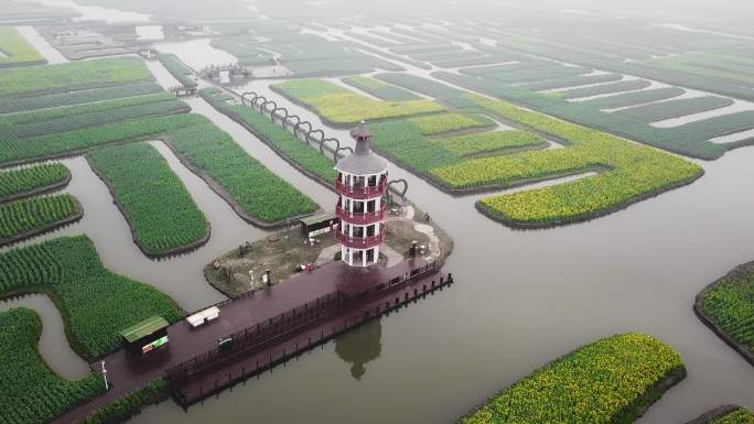 兴化 泰州 江苏 油菜花 航拍 城市宣传