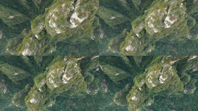 中国湖南武陵源张家界国家公园的鸟瞰图。著名的阿凡达哈利路亚山，这些标志性的喀斯特地貌点缀着景观。
