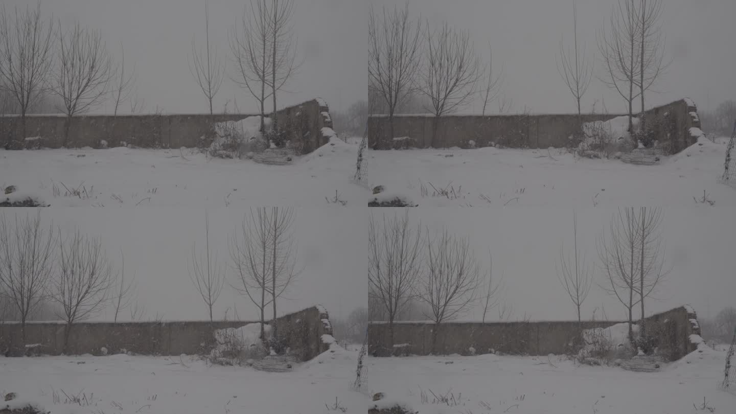 残破院子4Kslog2北方冬天下雪视频