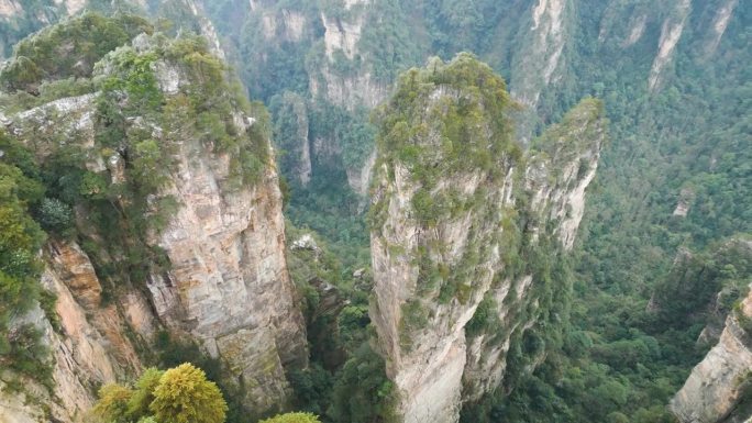 中国湖南武陵源张家界国家公园，展示了著名的喀斯特山脉，以阿凡达哈利路亚山而闻名。
