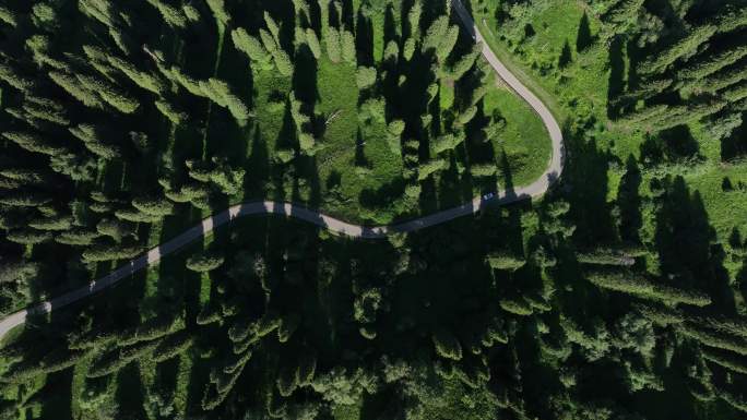 绿色生态的林间盘山公路道路航拍