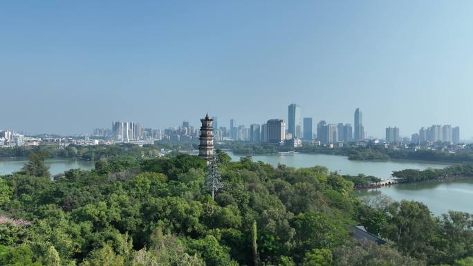 惠州西湖景区航拍惠州西湖泗洲塔湖泊风景