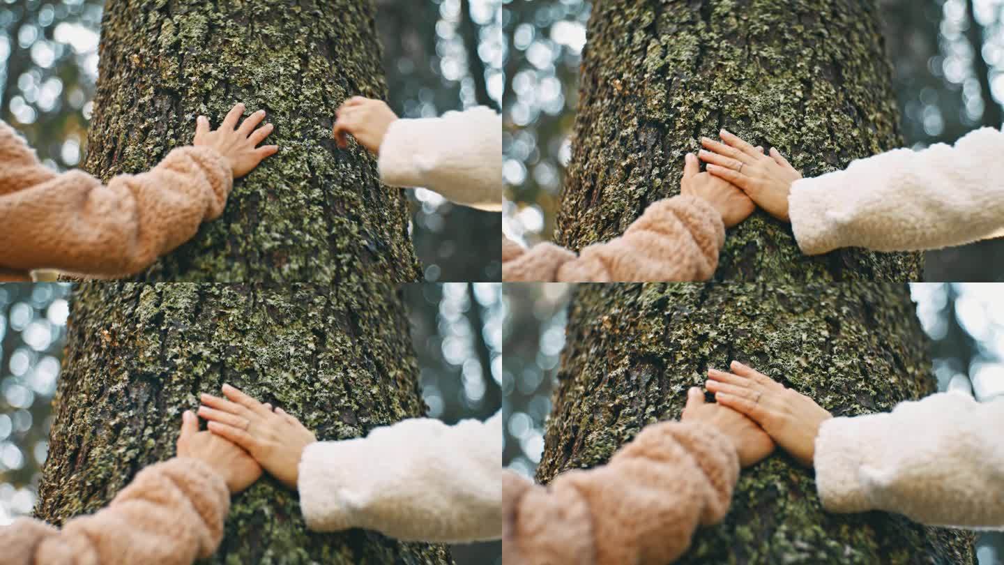 慢动作特写年轻女性朋友触摸树干的手