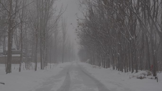 4Kslog2北方农村小道冬天下雪视频
