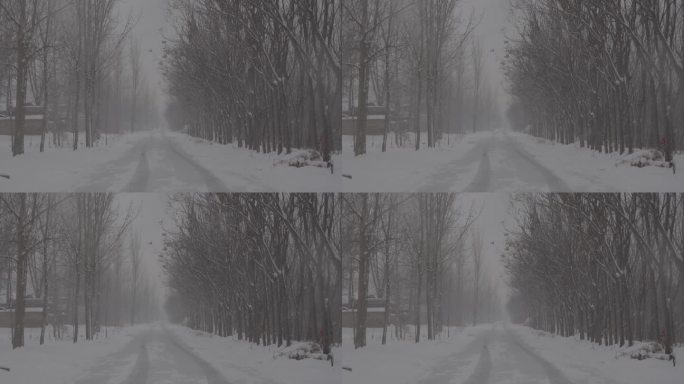 4Kslog2北方农村小道冬天下雪视频