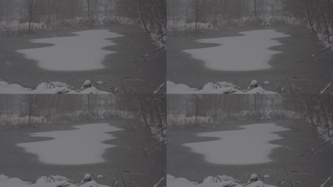 4K索尼slog2北方湖面冬天下雪视频
