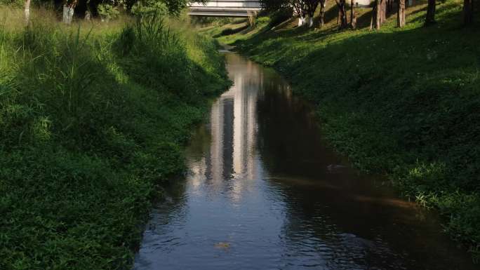 小溪水