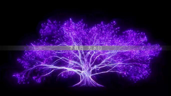 唯美光线粒子大树旋转生长 紫色