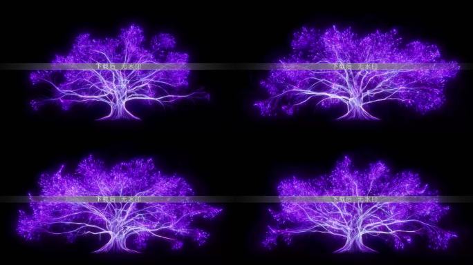 唯美光线粒子大树旋转生长 紫色