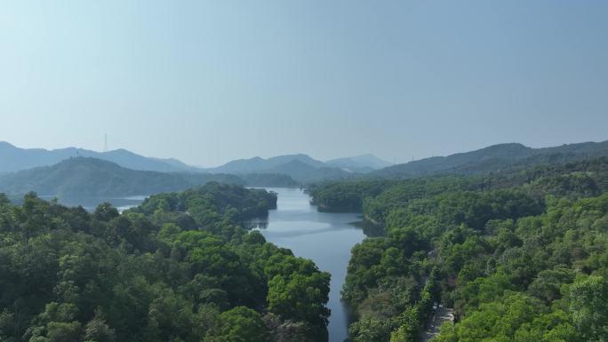 惠州市惠城红花湖景区航拍森林山川湖泊风景