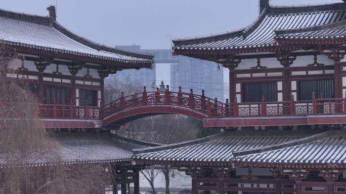 西安地标青龙寺古建筑景区文旅宣传雪景航拍