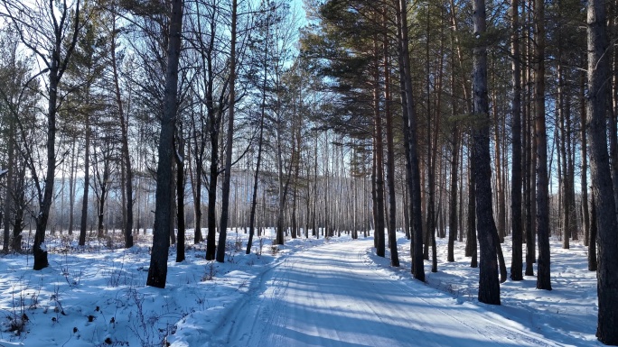 通向林海雪原的雪路