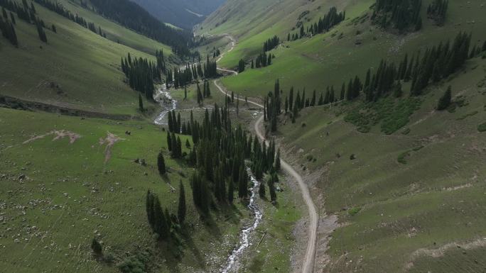 新疆小众原生态山谷森林深度自驾游坎苏沟