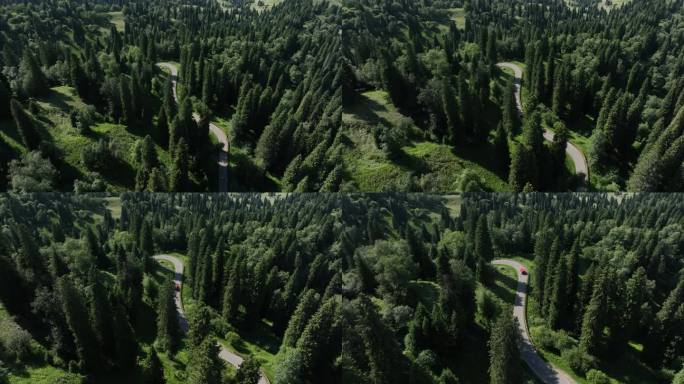 绿色生态的林间盘山公路道路