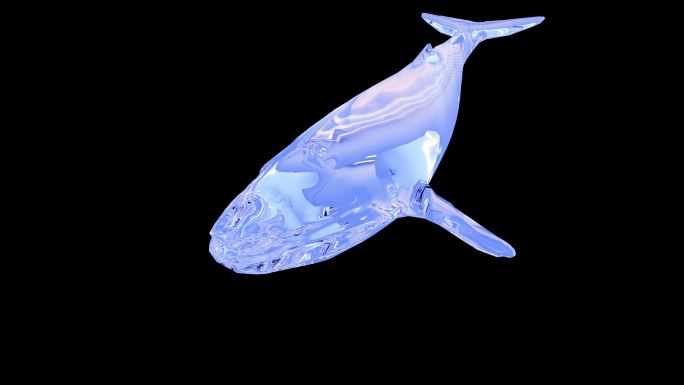 鲸鱼-1