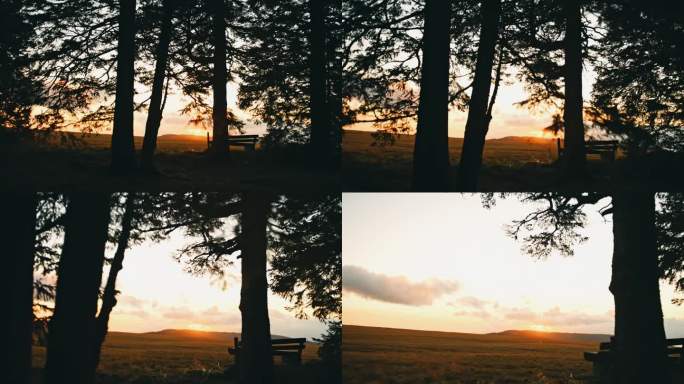 慢动作剪影的树木和长凳在遥远的风景在日落