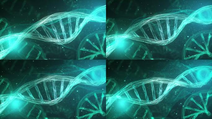 科技线条医疗DNA_c4d工程