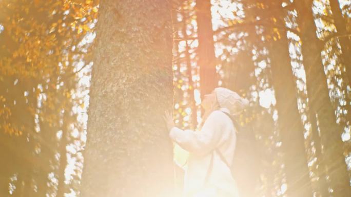 慢镜头:好奇的女徒步者抬头望着秋天森林里的树干