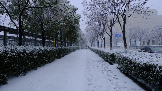 4K雪中小路空镜