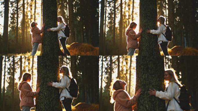 年轻的女徒步者在树林里接近并拥抱树干