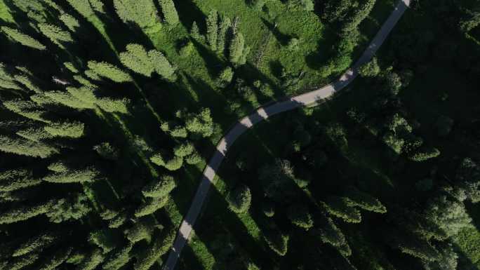 绿色生态的林间盘山公路道路航拍