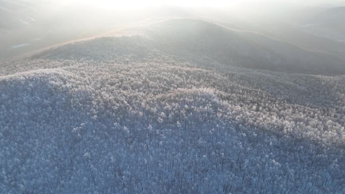 大兴安岭冬季山林雾凇冷空气