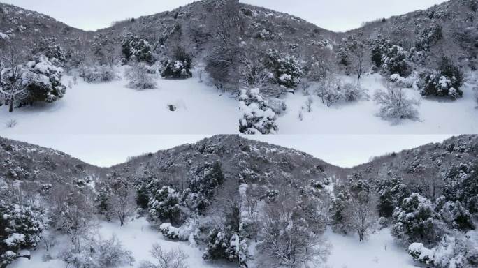 在以色列的冬天，无人驾驶飞机飞过黑门山(谢赫山)积雪覆盖的森林。
