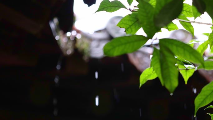 （慢镜头）杭州 古风 下雨天 亭子 屋檐