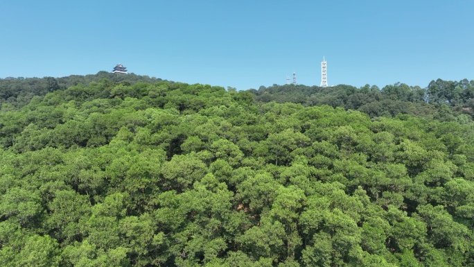 惠州市惠城红花湖景区航拍森林山川湖泊风景