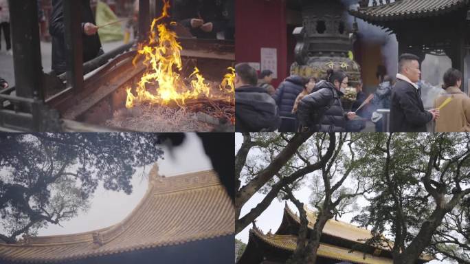 普陀山 寺庙 烧香 拜佛 信徒 大雄宝殿