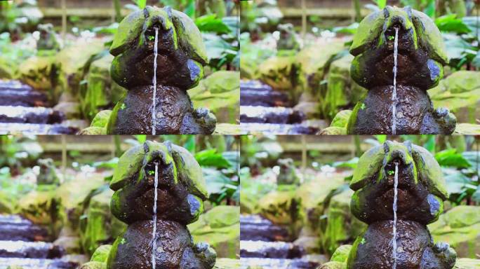 美丽的小喷泉在青苔石龟形在中国公园