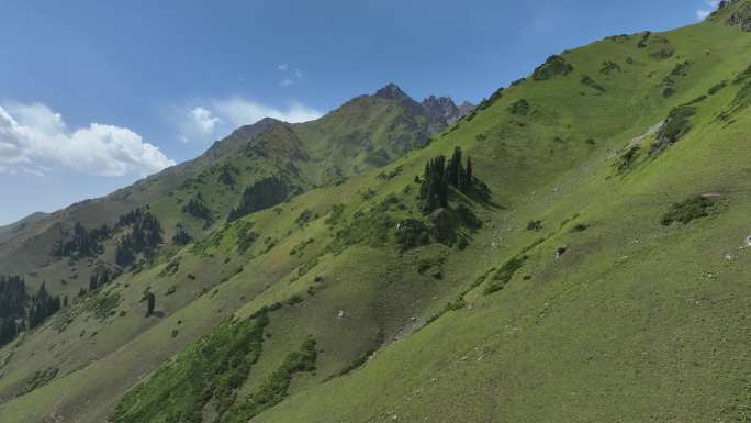 辽阔秀美的高山草甸草地