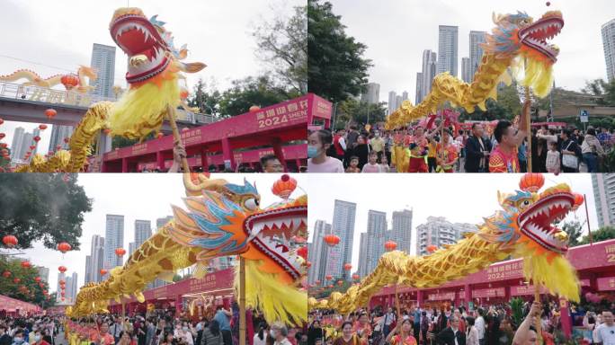 龙年舞龙春节喜庆表演  中国传统文化