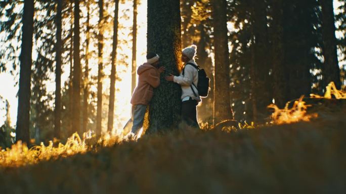 年轻的女徒步旅行者在阳光明媚的秋天的树林里拥抱树干