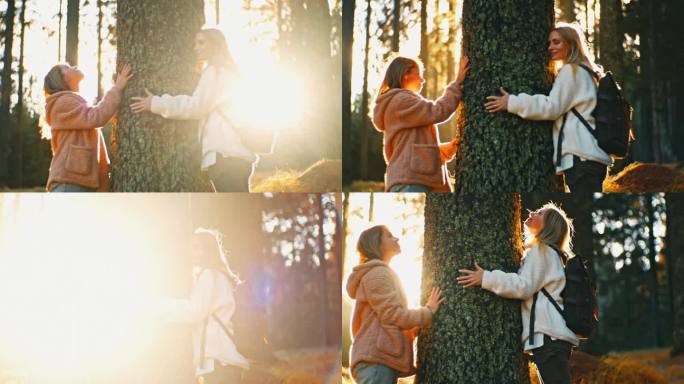 在秋天的树林里，安静的年轻女性朋友们拥抱着树干