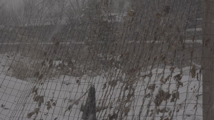 4K索尼slog2北方钢丝网冬天下雪视频