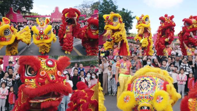 春节过年舞狮中国传统文化喜庆