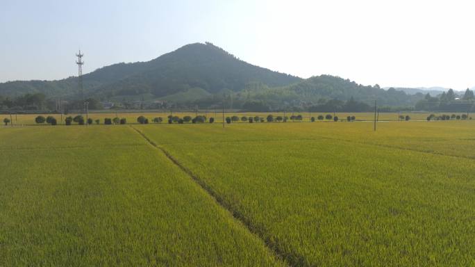 杭州余杭径山航拍